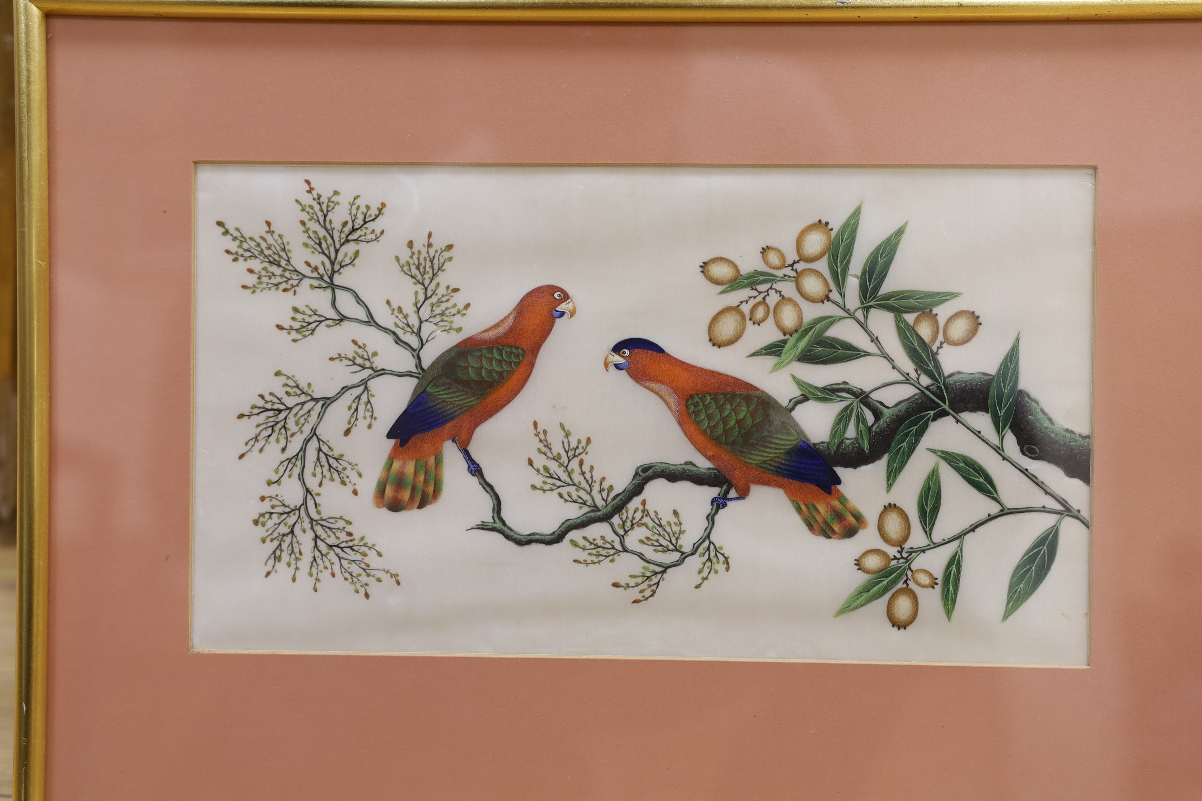 19th century, Chinese School, set of four pith paper paintings, Birds of Paradise, together with a similar example, Still life of a pomegranate, housed in a simulated bamboo frame, largest each 18.5 x 28cm